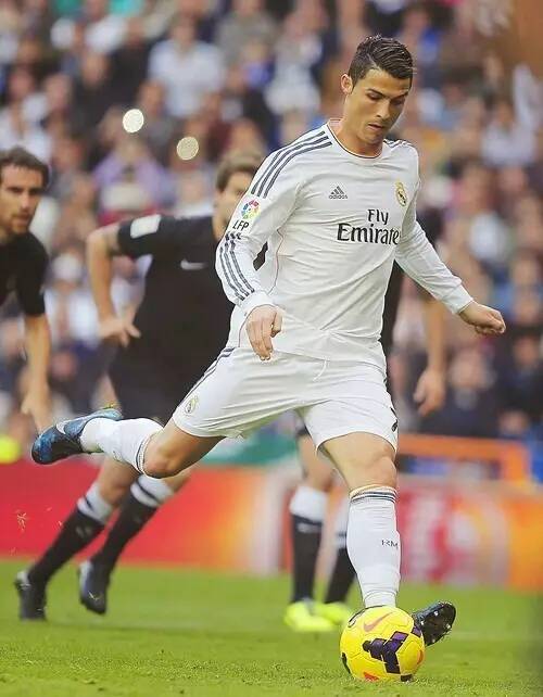 职业生涯的 职业生涯的