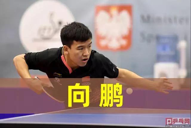 蔚山HD队 蔚山HD队